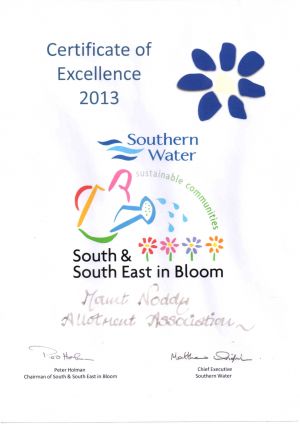 Certificate of Excellence 2013